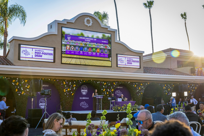 2025 Breeders' Cup Post Position Draw at Del Mar | Zoe Metz