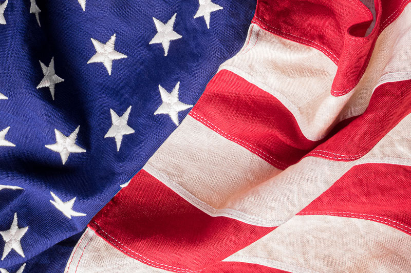 Photo for Veterans' Day