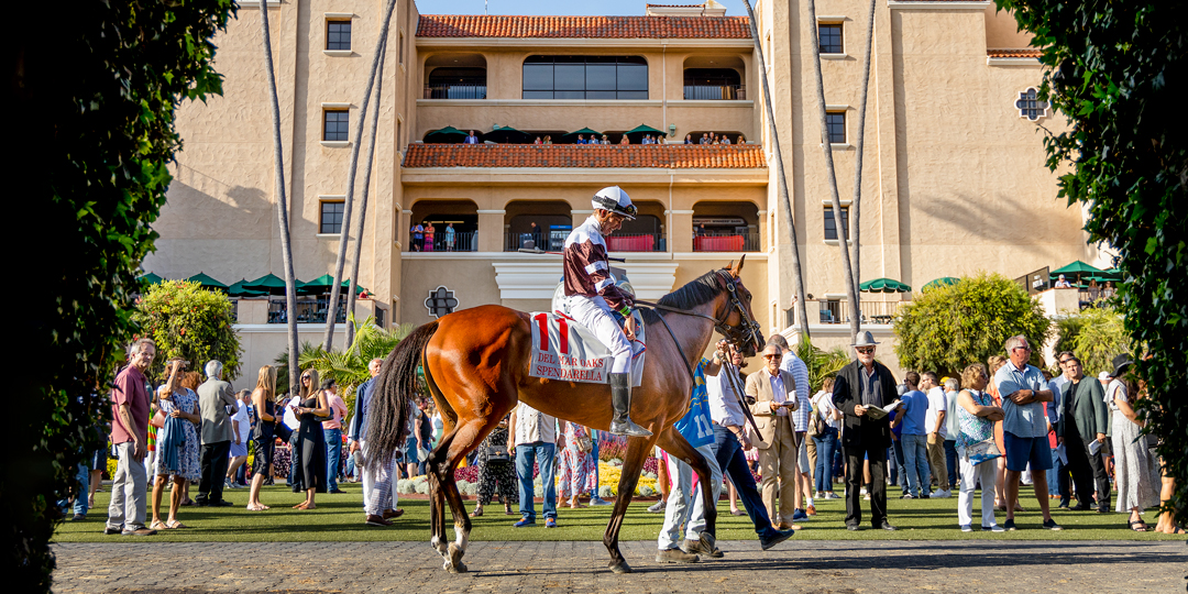 Del Mar Paddock