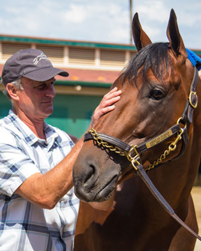 Horse and Vet