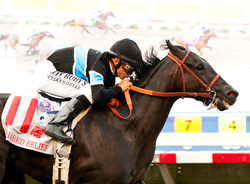 Shared Belief