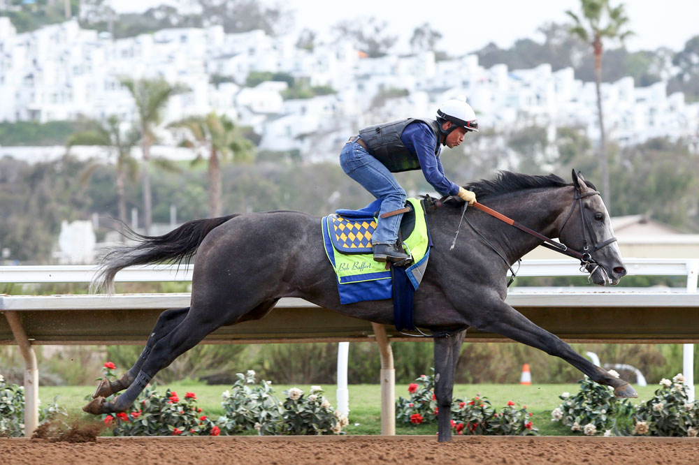 Arrogate 