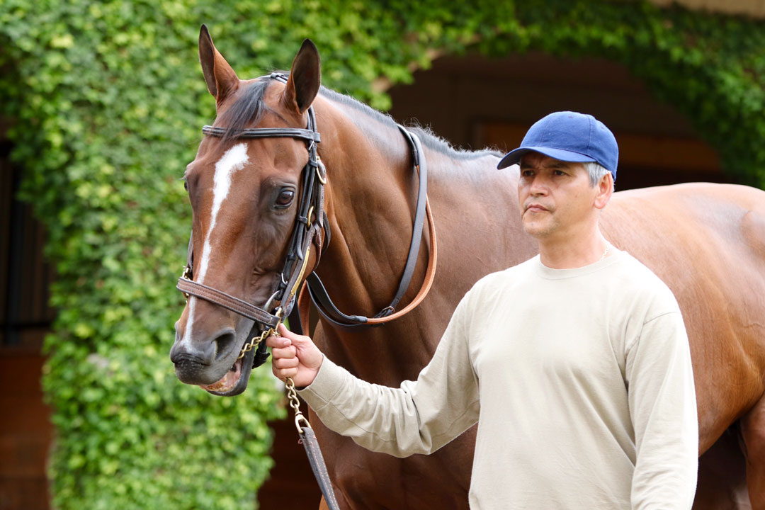 Vale Dori c Del Mar Thoroughbred Club