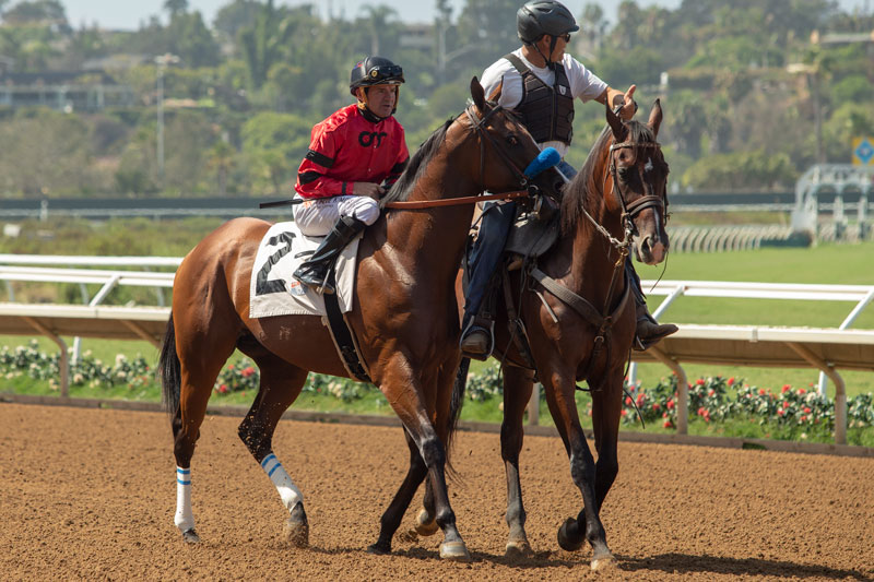 Afleet Ascent / Benoit Photo