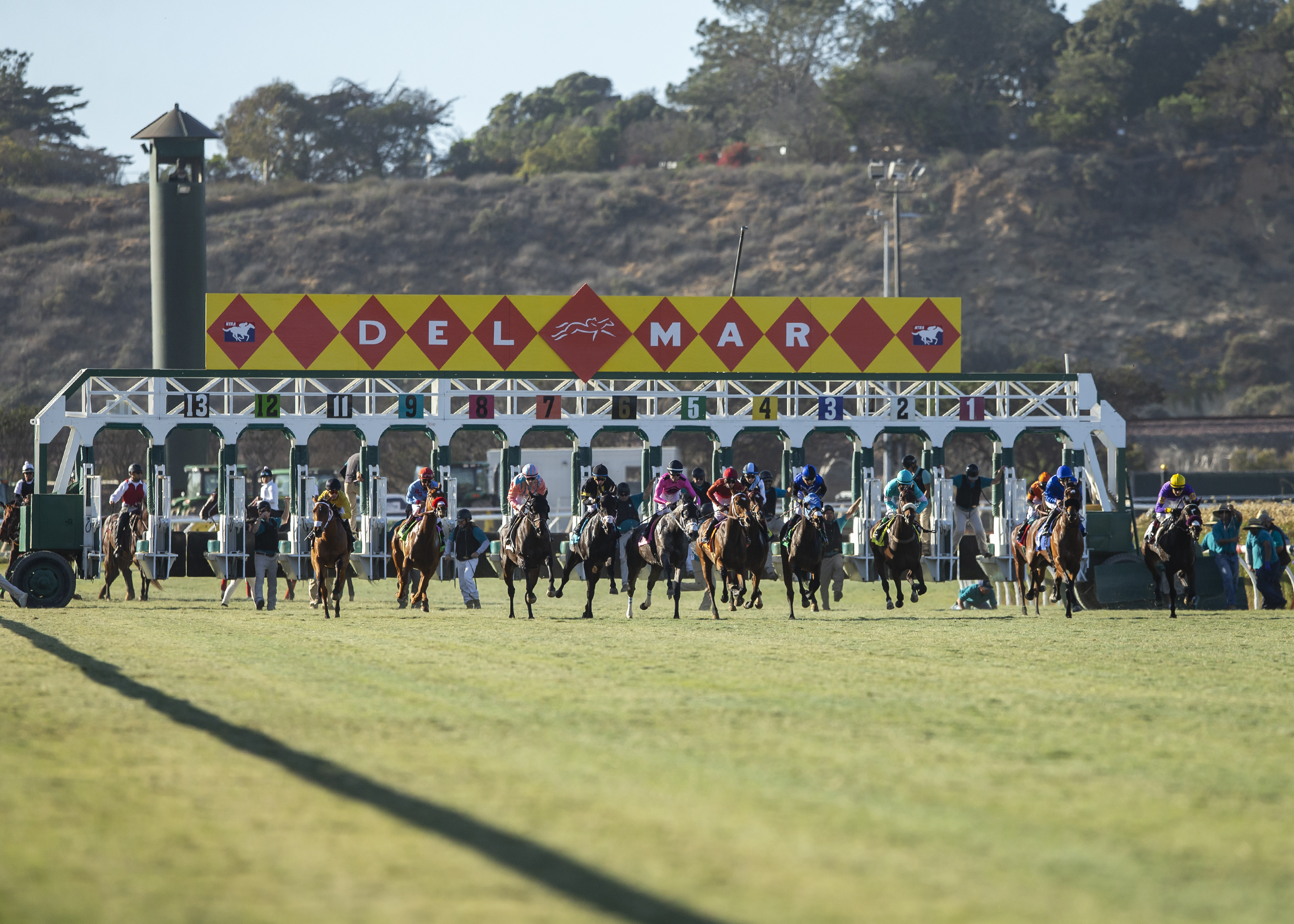 Starting Gate | Benoit Photo