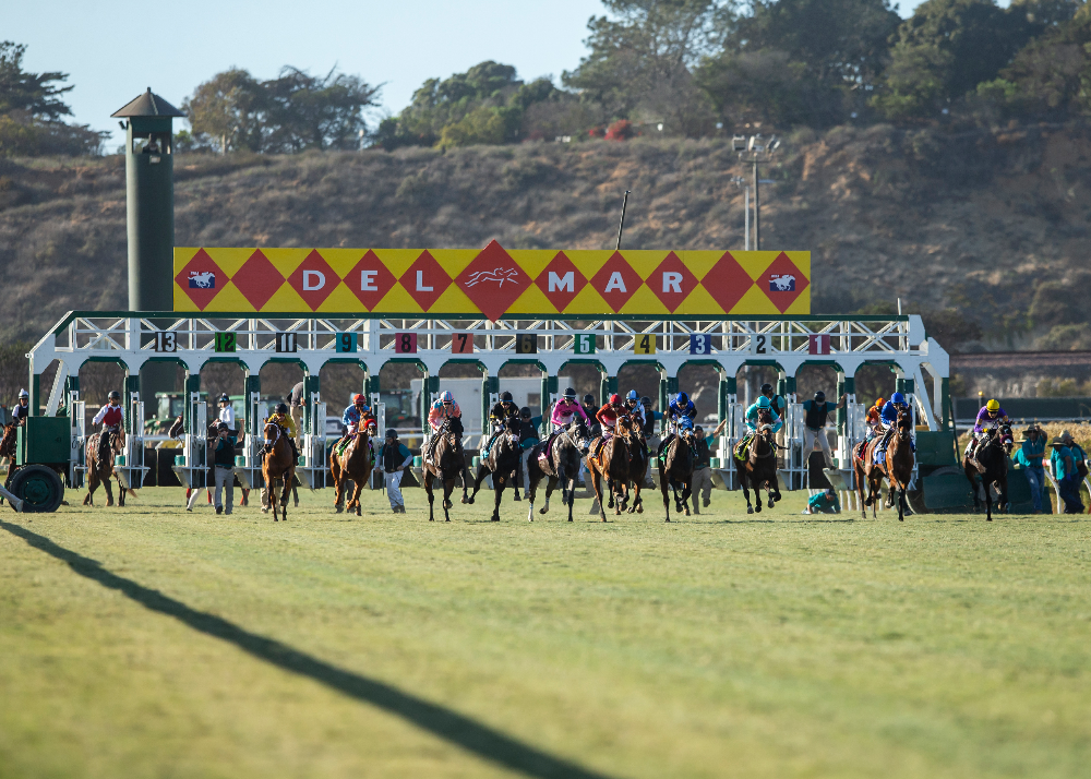 Starting Gate | Benoit Photo