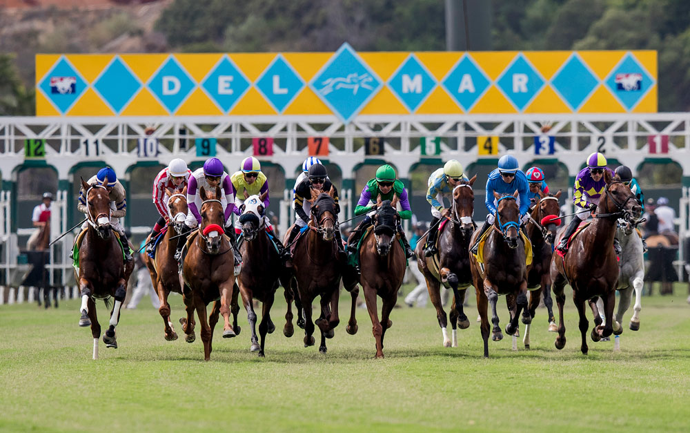 Del Mar Gate Turf | Evers Photo