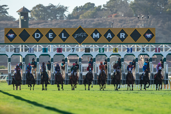 Bing Season Gate | Benoit Photo