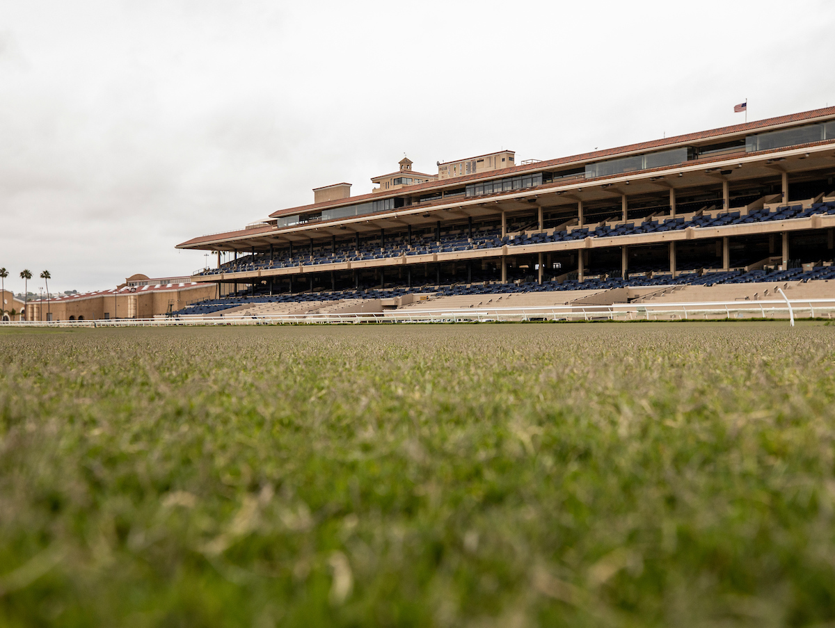 Del Mar Turf Course