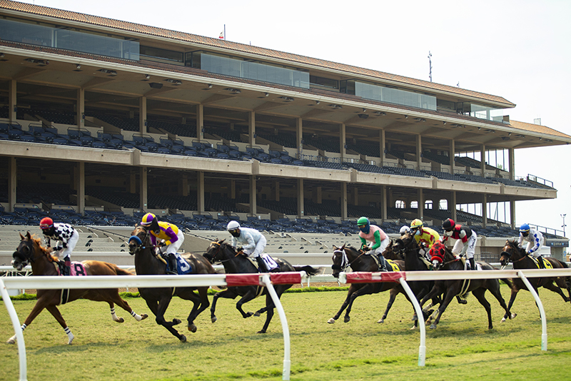 Del Mar Turf | Benoit Photo