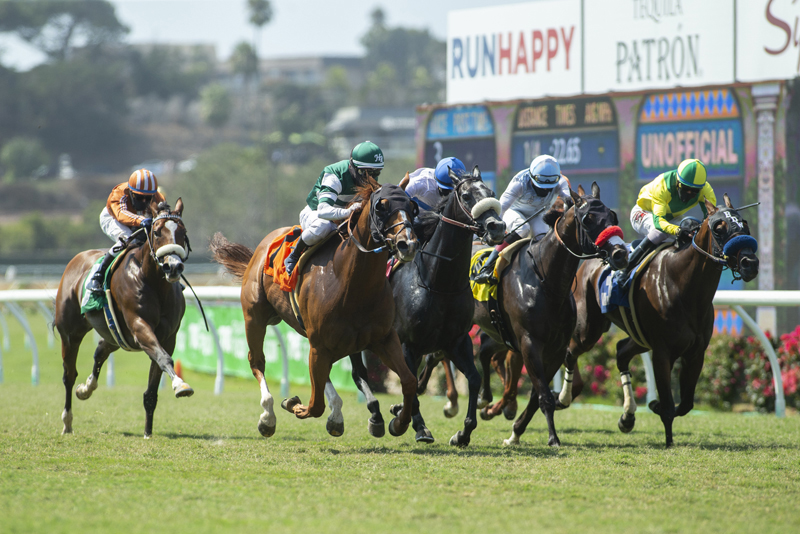 Del Mar Turf Stretch | Benoit Photo