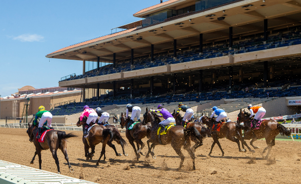 Del Mar Racetrack - Horses Break from the gate