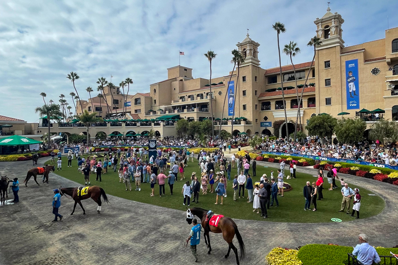 Del Mar Paddock