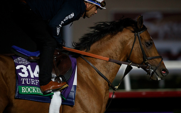 Rockemperor | Breeders' Cup