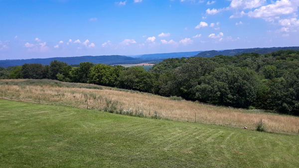 View from Trevor's House