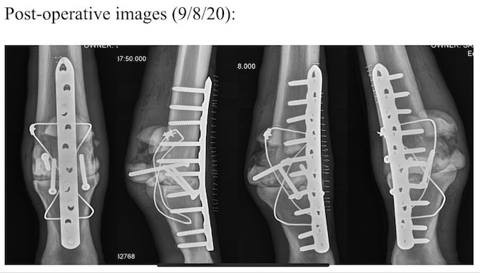 Rick's Dream Radiographs