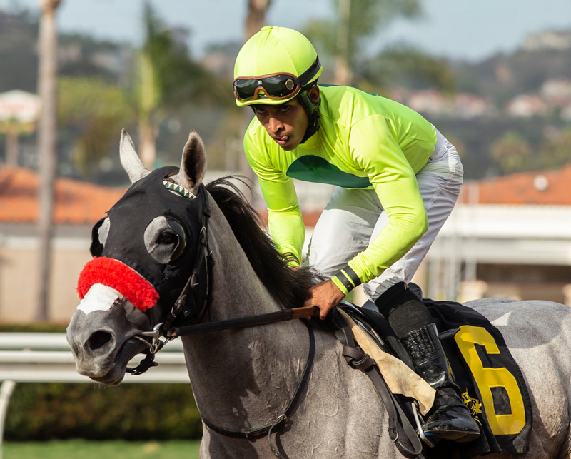 Silver Lightening | Benoit Photo