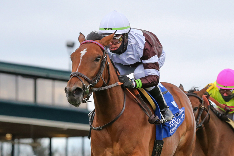 Spendarella | Keeneland