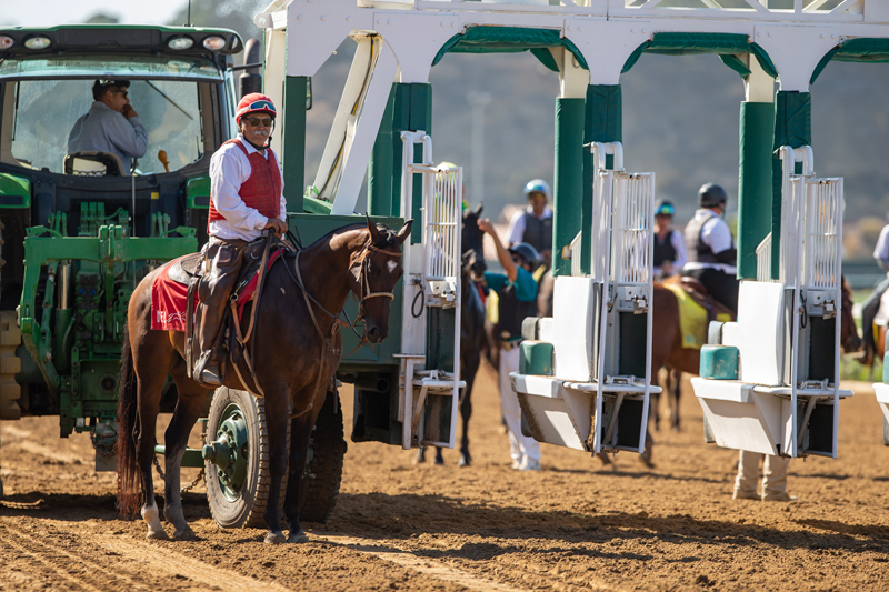 Outrider Chewy | Benoit Photo