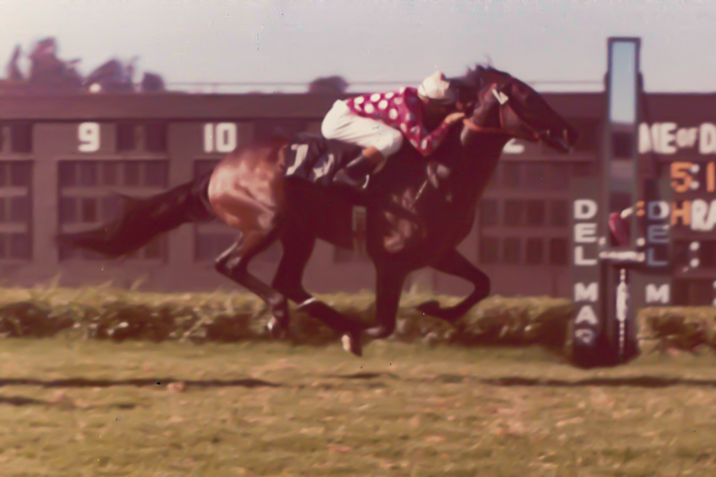 Fernando Toro wins Del Mar’s 1970 Escondido Handicap on Cougar II. The race was subsequently renamed the Cougar II ‘Cap to honor the champion racehorse.