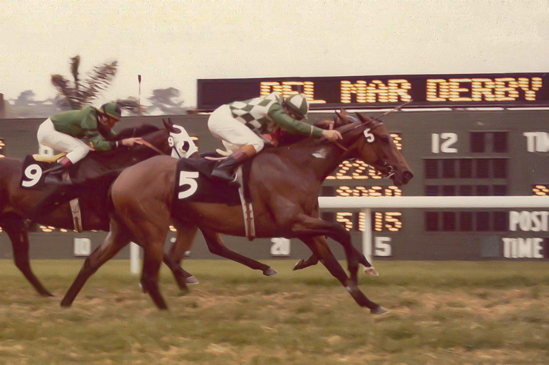 Fernando Toro wins 1981 Del Mar Derby on Juan Barrera.