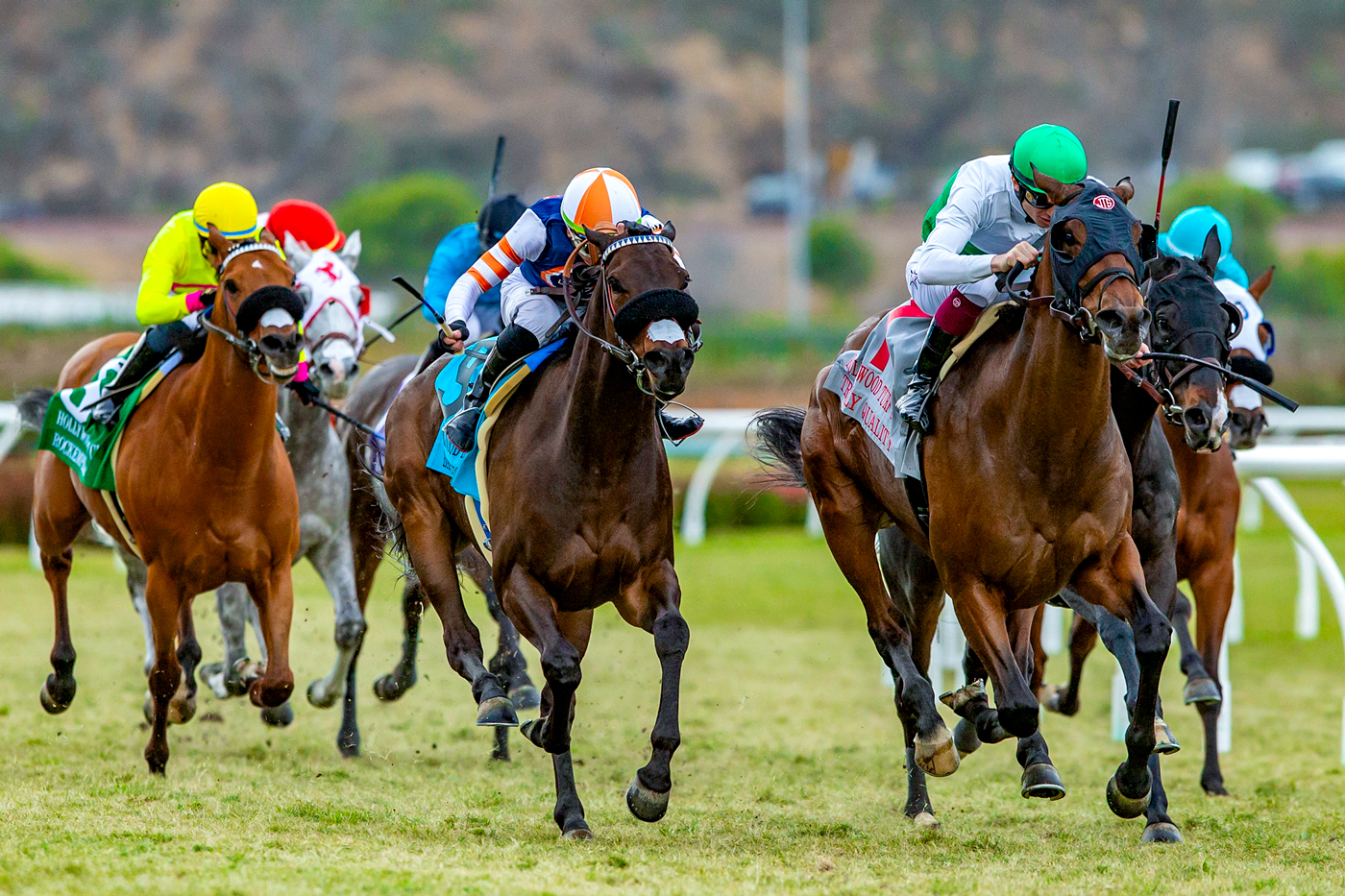 Hollywood Turf Cup | Benoit Photo
