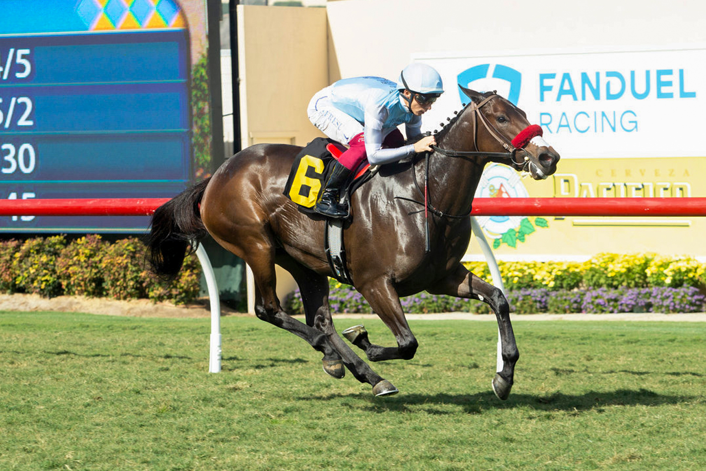 Hypergamy | Benoit Photo