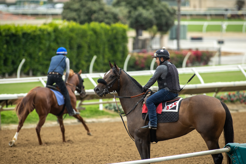 Morning Training | Zoe Metz Photo