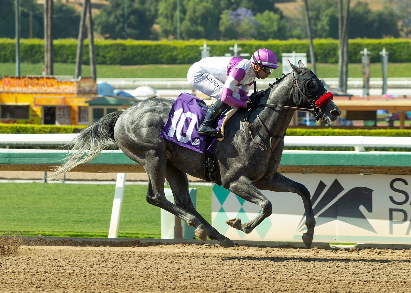 Hero to Zero | Benoit Photo