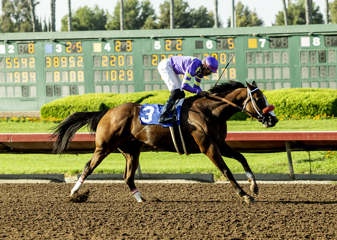 Man O Rose | Benoit Photo