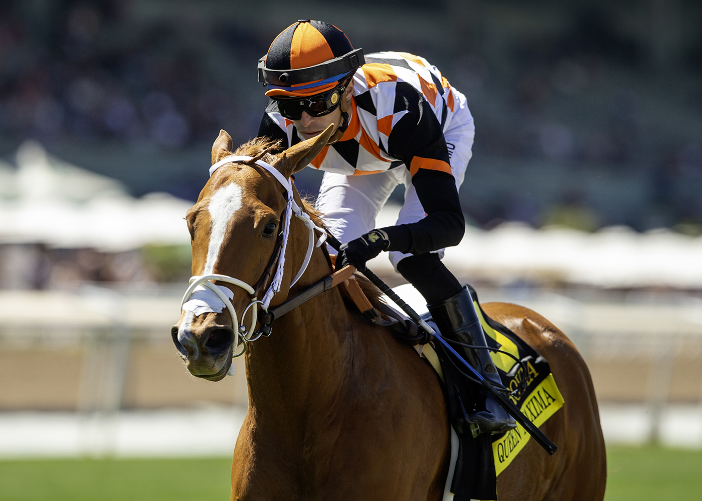 Queen Maxima | Benoit Photo