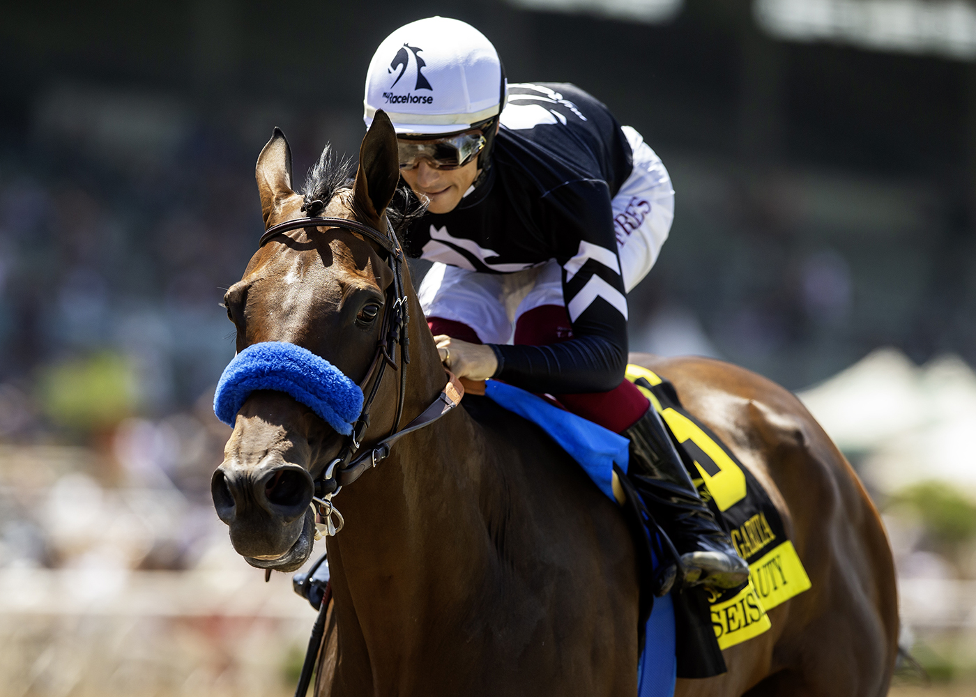 Seismic Beauty | Benoit Photo