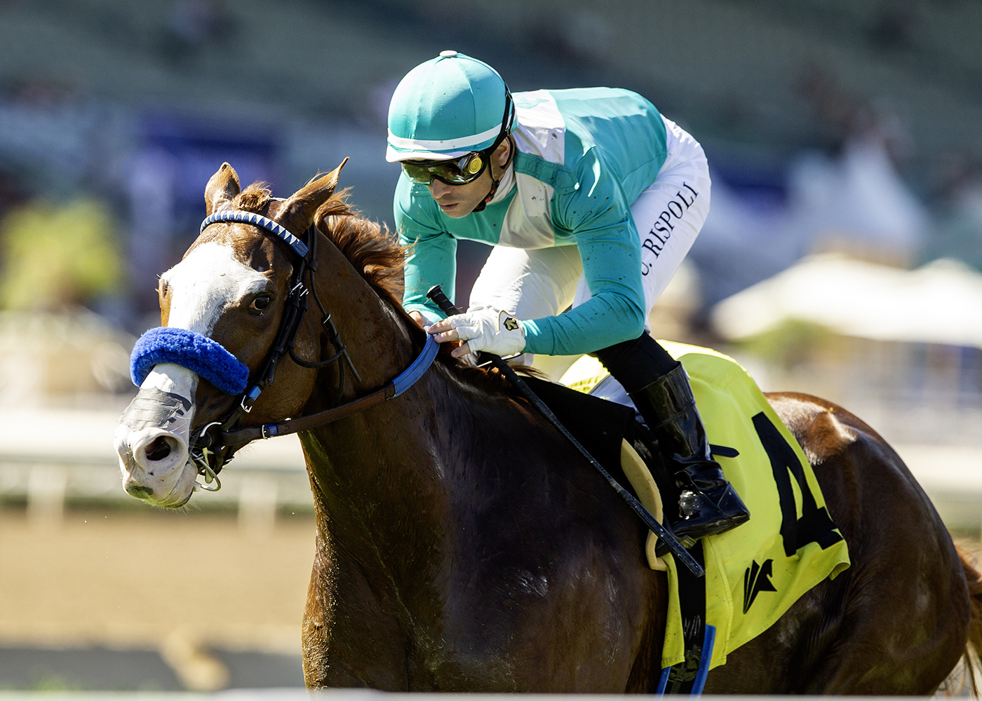 Sneaker | Benoit Photo