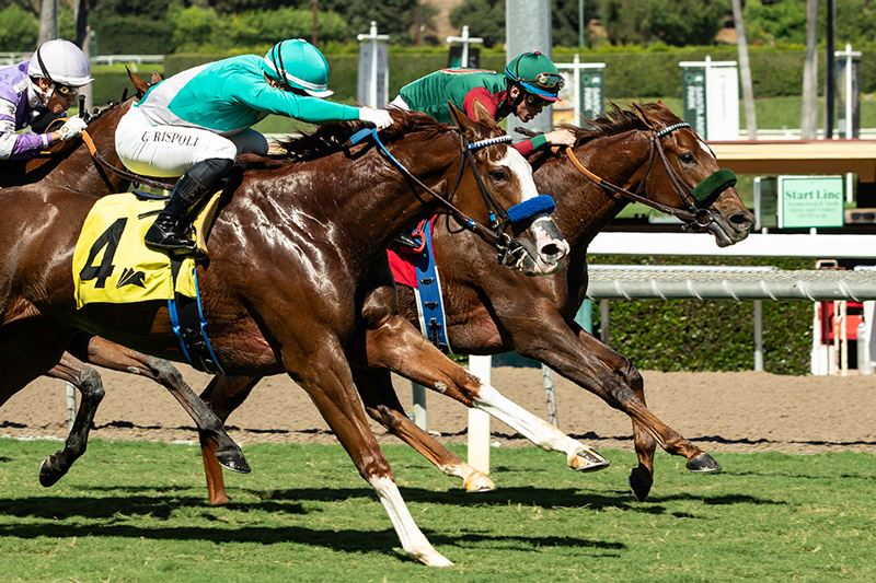 Sneaker & Grand Slam Smile | Benoit Photo