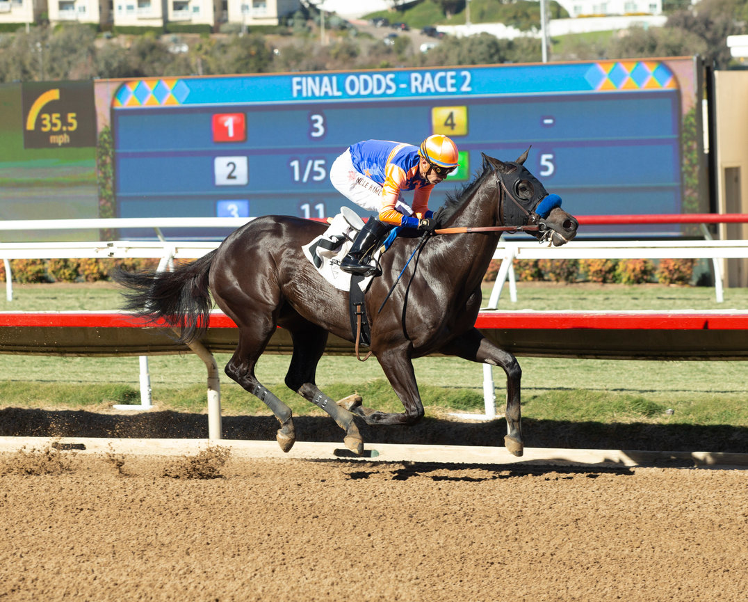 Splendora | Benoit Photo
