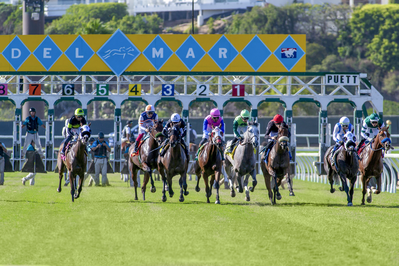 Turf Gate Start | Benoit Photo