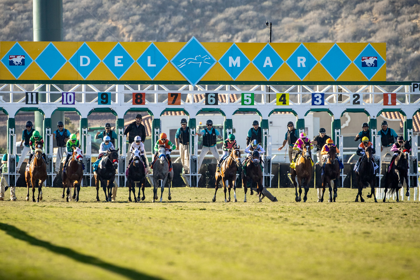 Del Mar Starting Gate | Zoe Metz
