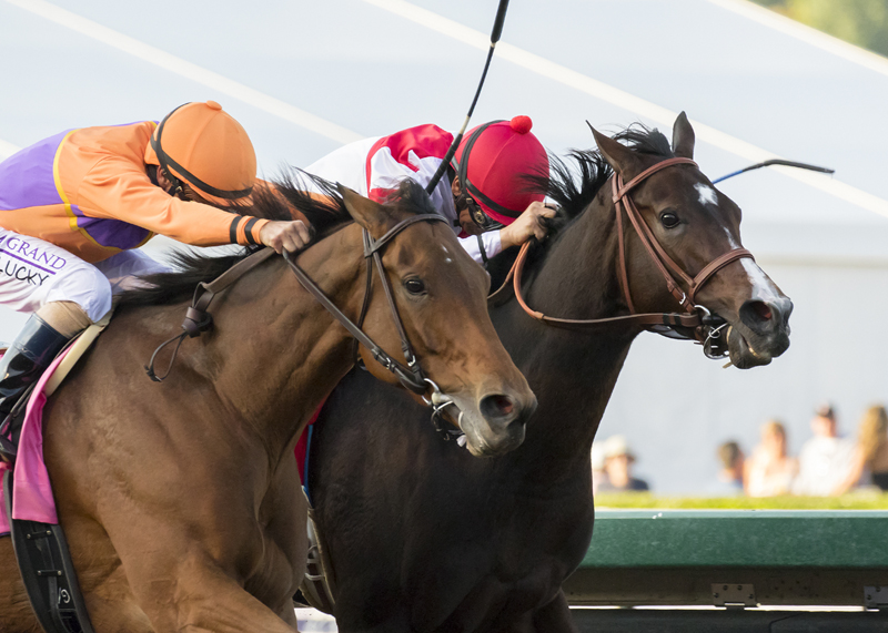 Beholder besting Songbird in the 2026 Breeders' Cup Distaff | Benoit Photo