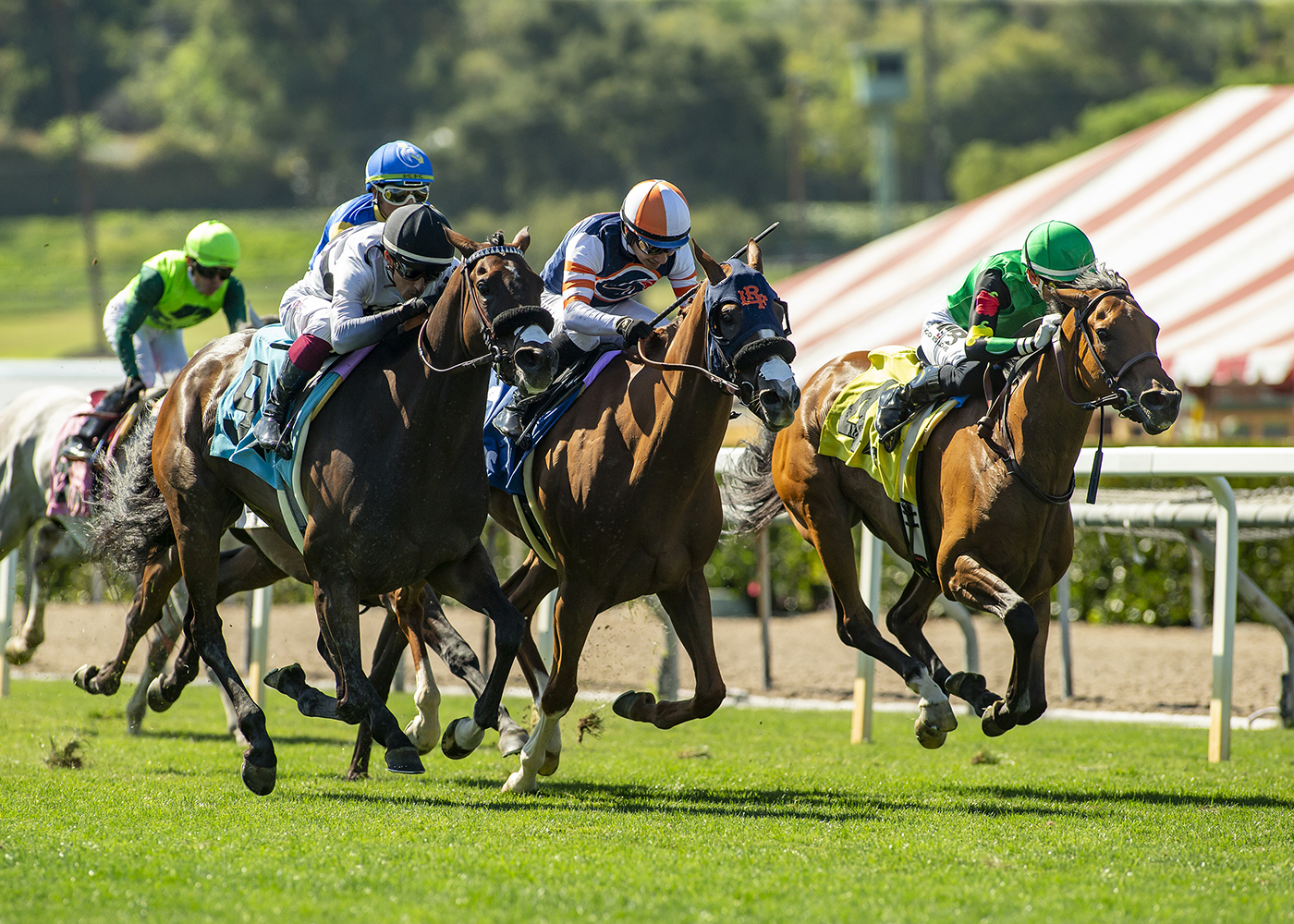 Kentucky Gal | Benoit Photo