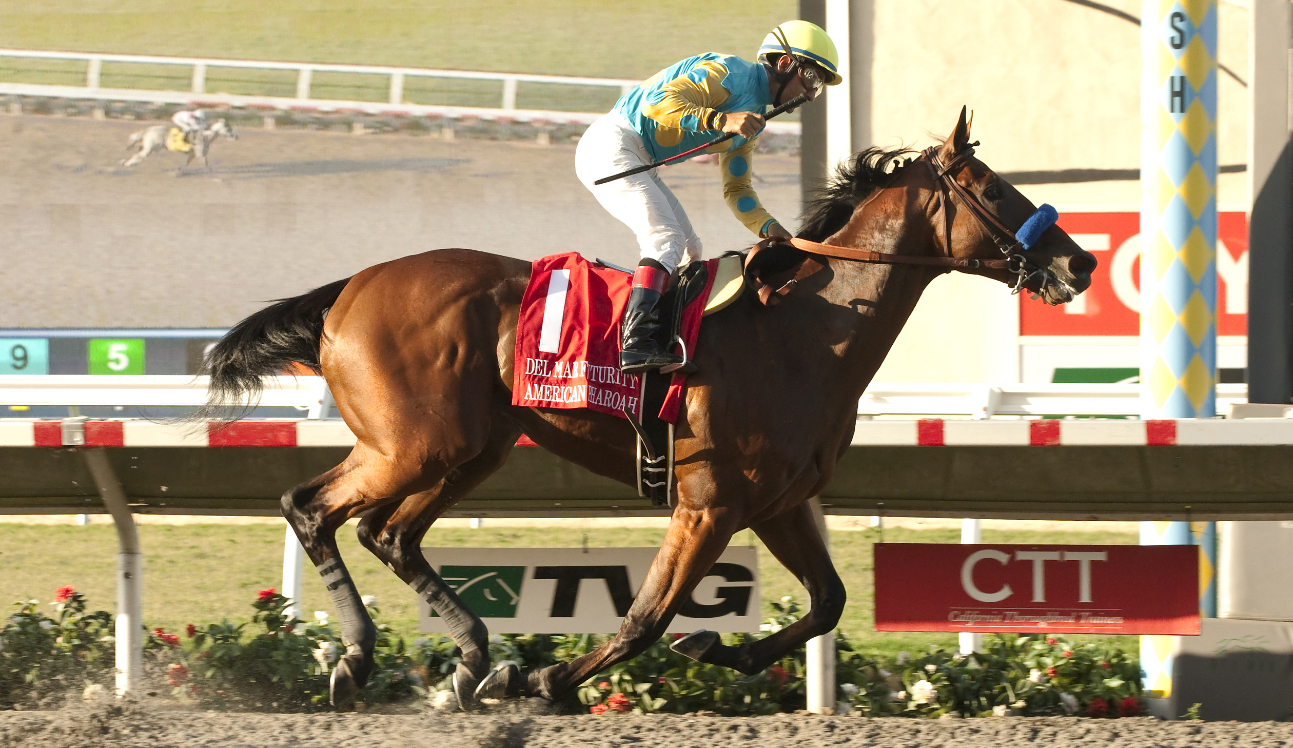 American Pharoah & Victor Espinoza 2014 Del Mar Futurity