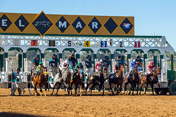 Dirt Starting Gate