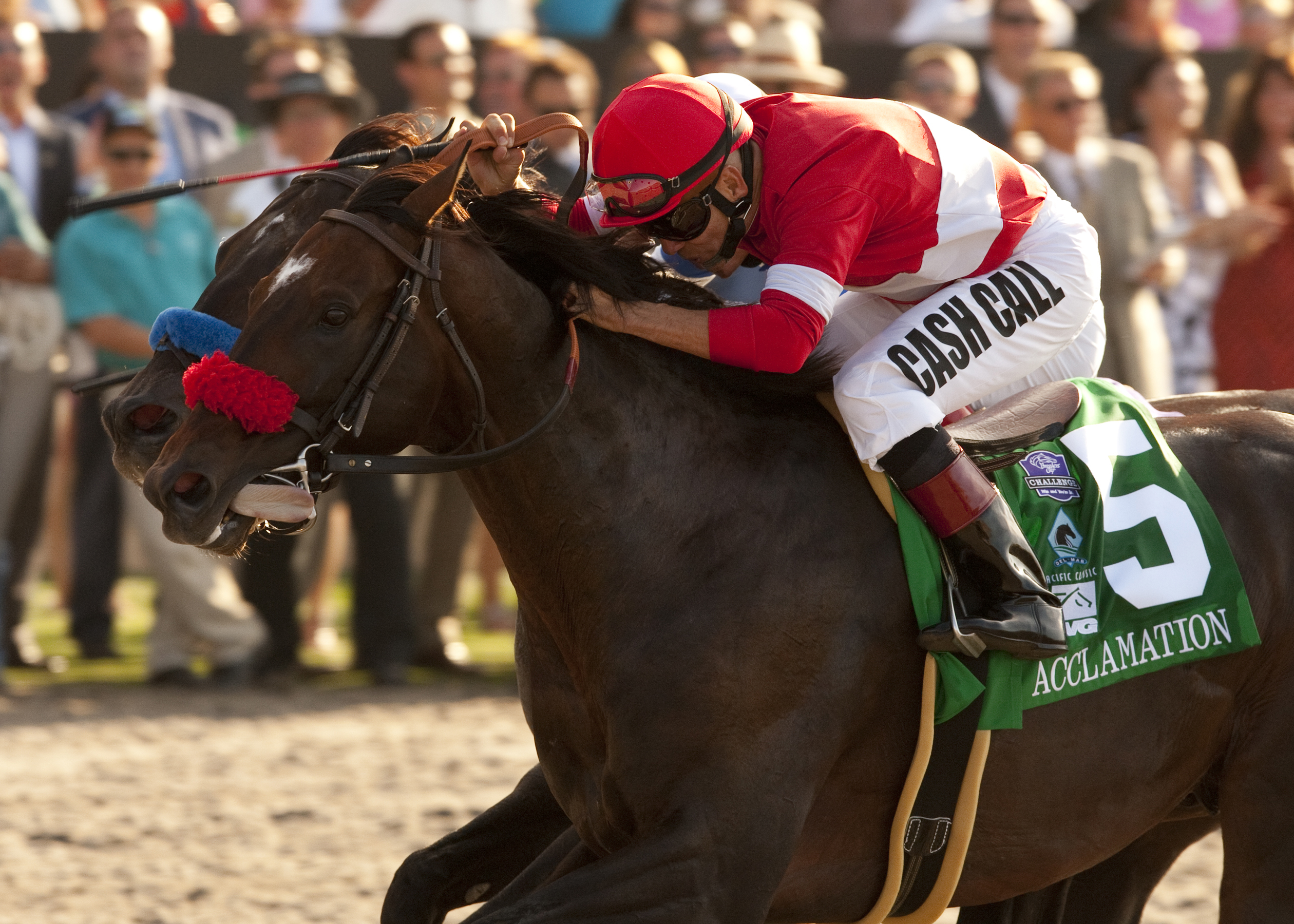 Acclamation | Benoit Photo