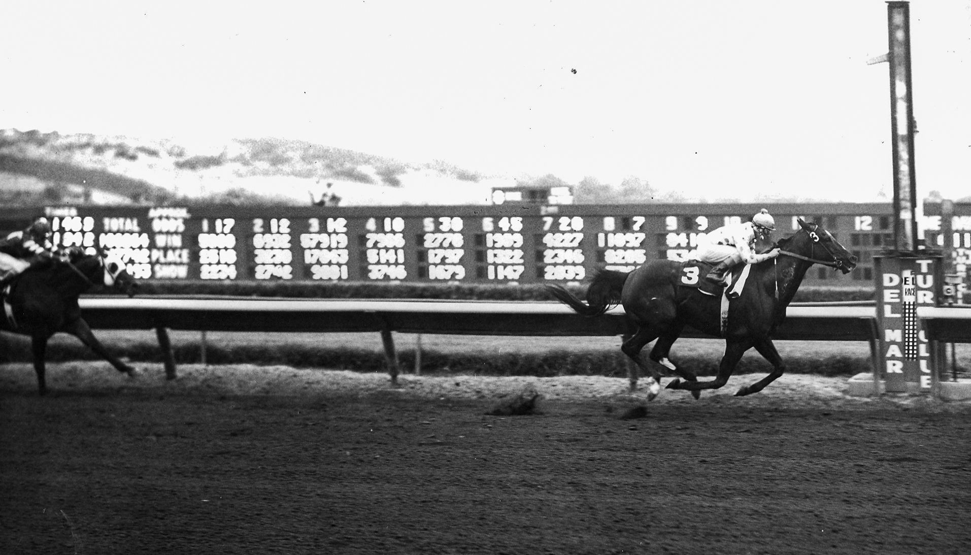 Native Diver at Del Mar