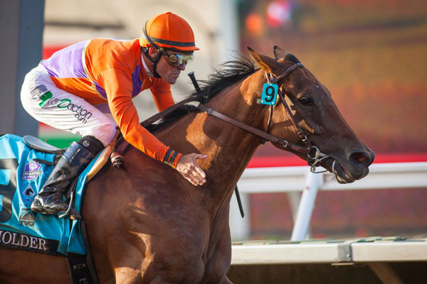 Beholder | Benoit Photo