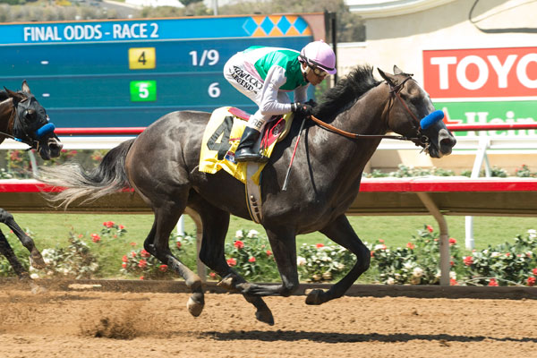 Arrogate at Del Mar