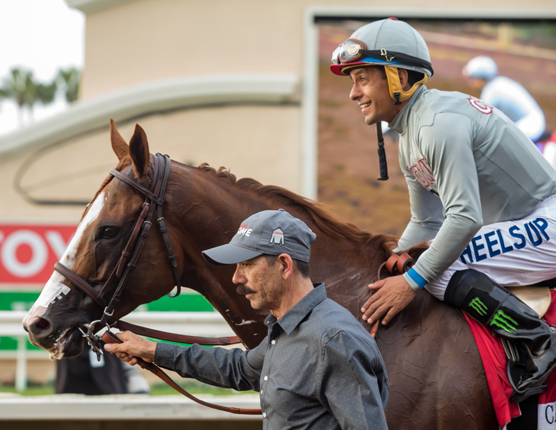 California Chrome | Benoit Photo