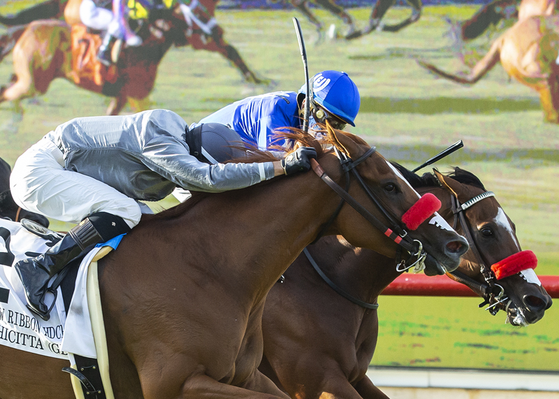 Bodhicitta (GB) | Benoit Photo