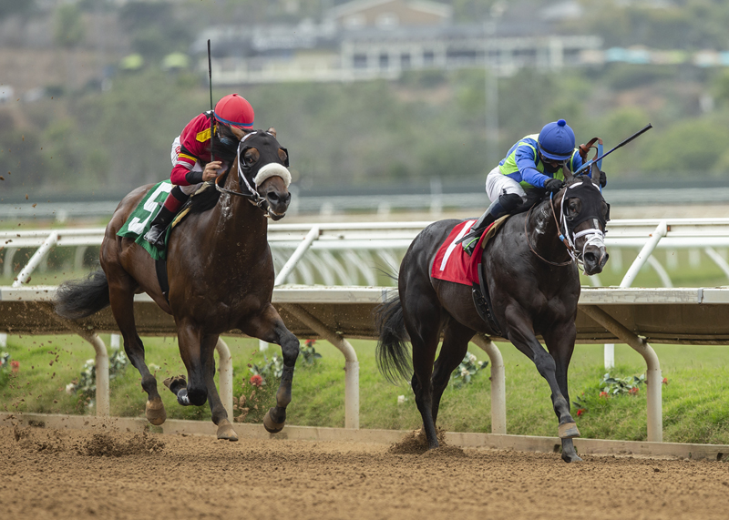 Positivity (left) runs past Good With People | Benoit Photo