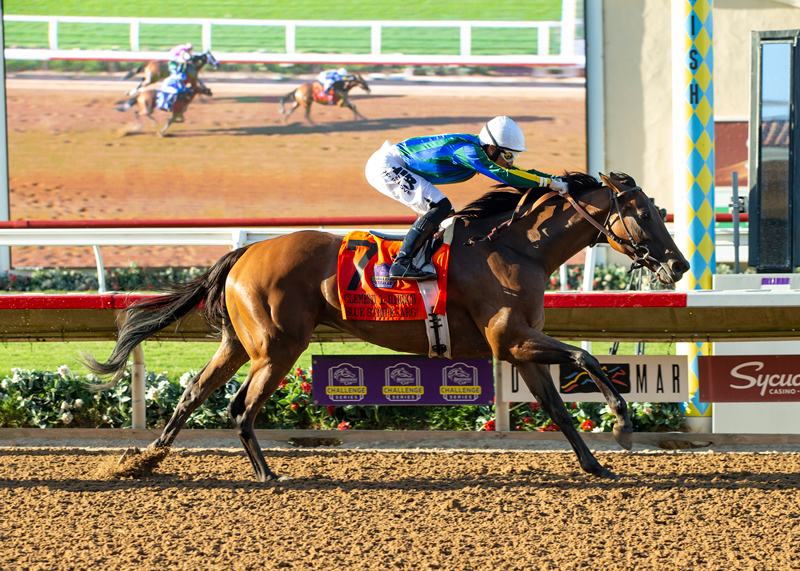 Blue Stripe | Benoit Photo