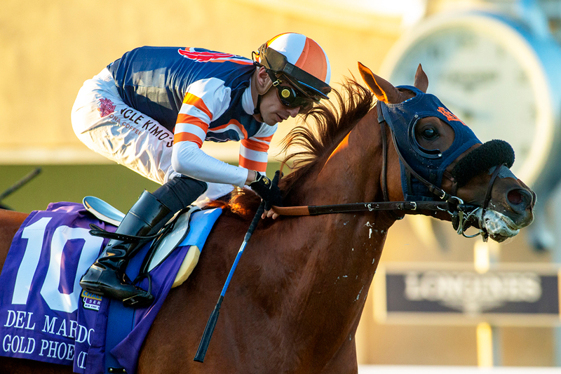 Gold Phoenix | Benoit Photo